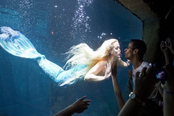 
	
	Một du khách đang hôn Mirella Feraz, được xem như là nàng tiên cá của đất nước Brazil, trong khi cô nàng đang bơi trong một hồ cá khổng lồ ở Sao Paolo, Brazil, 10/02/2013.